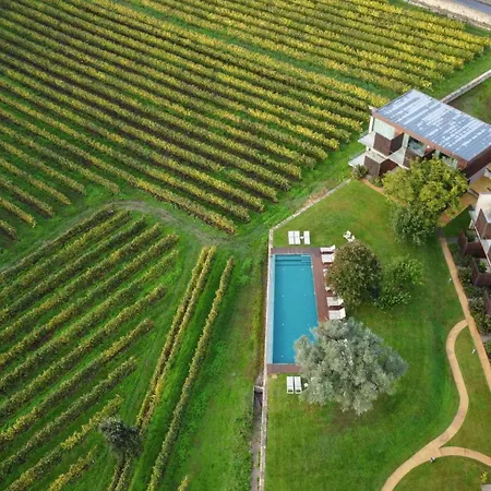 Torre De Gomariz Wine&spa Cervães