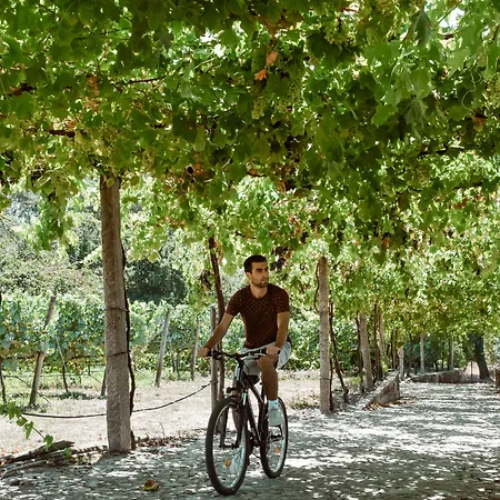 Torre De Gomariz Wine&spa Hotel 5*