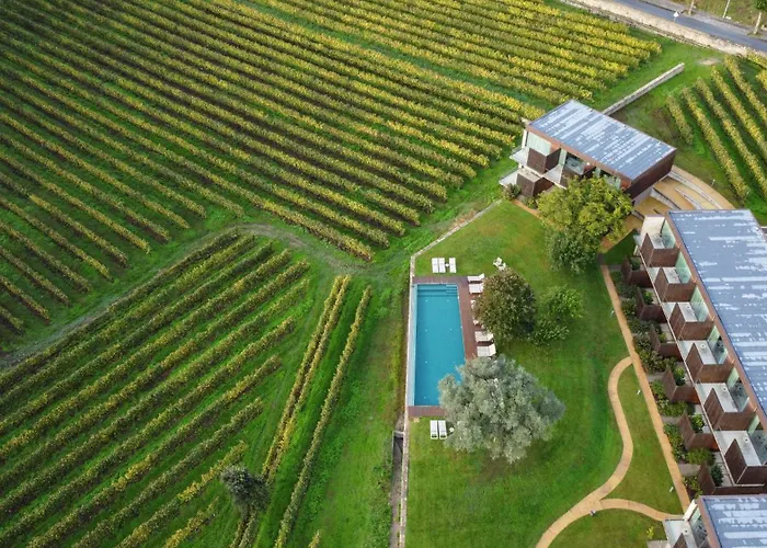 Torre De Gomariz Wine&spa Cervães