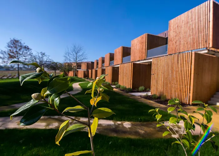 Torre De Gomariz Wine & Hotel Cervães